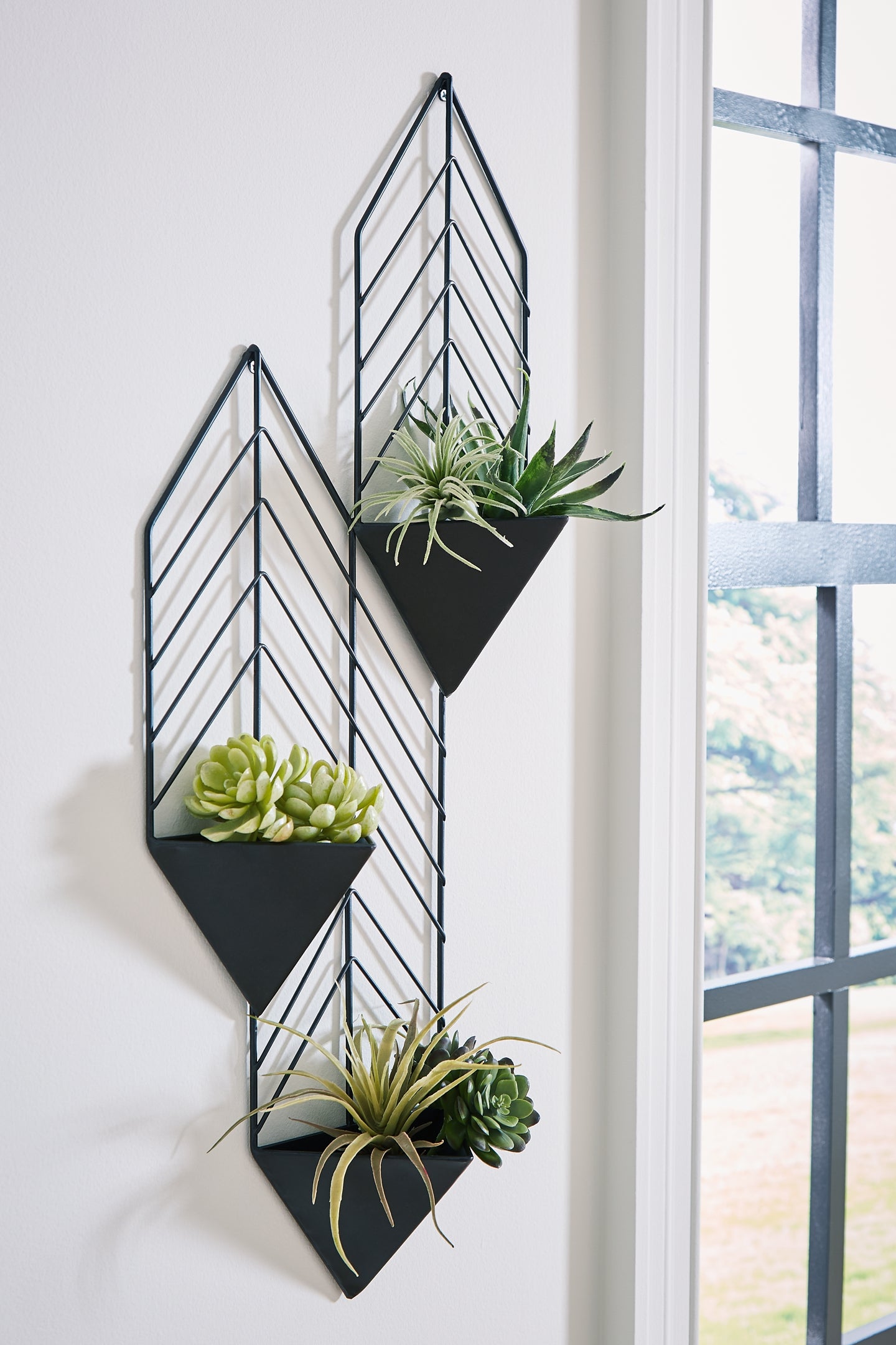 Dashney Wall Planter 12.01 Dashney Wall Planter 12.01