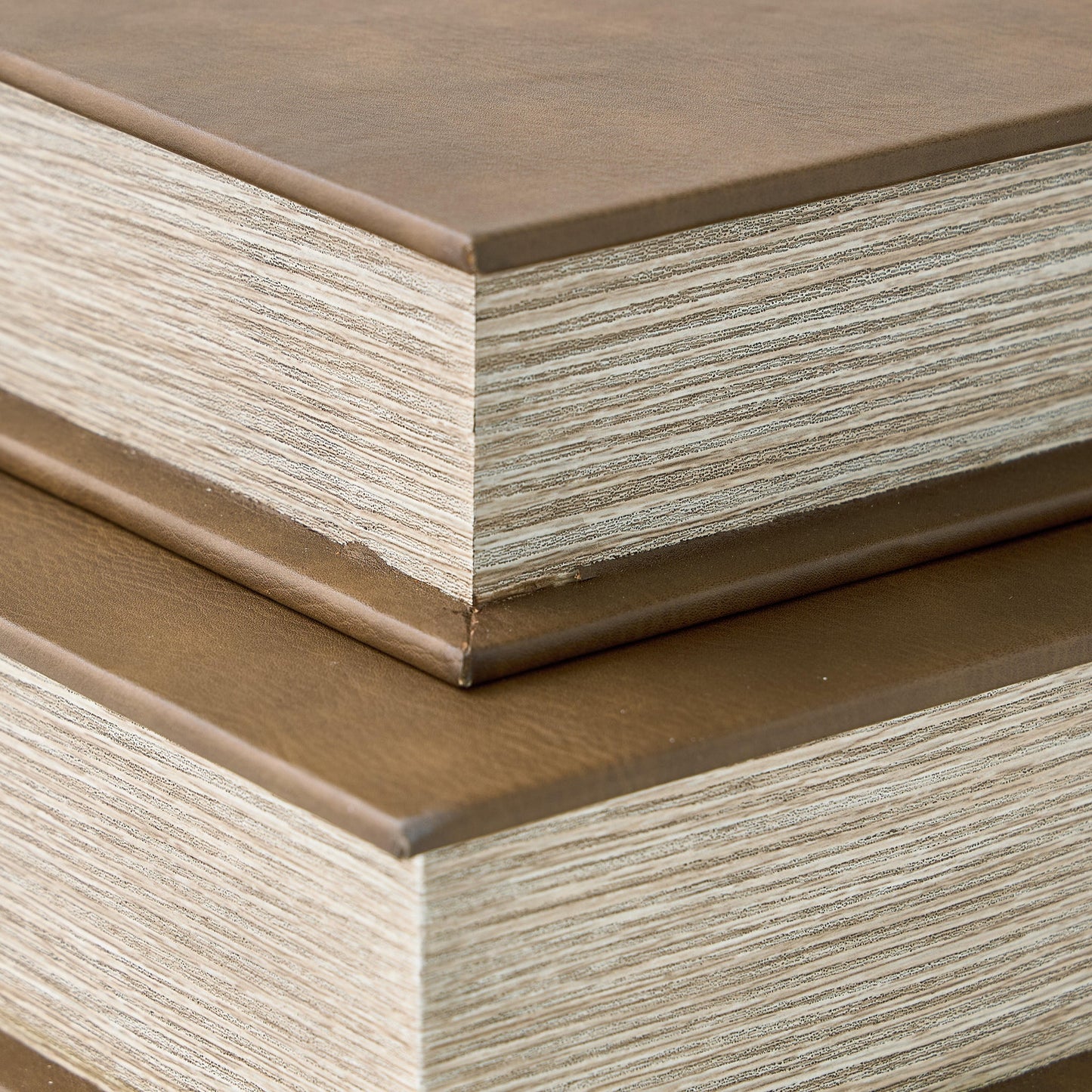 Ashley Express - Samwell Box Set (2/CN)
